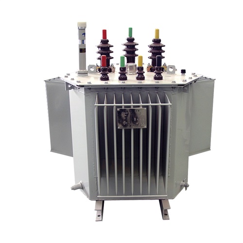 林芝S22-500KVA油浸式变压器