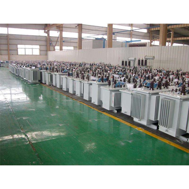 林芝S13油浸式电力变压器